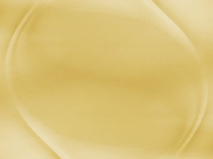 多任务学习实施路线图规划